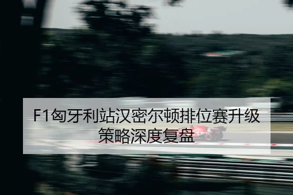 xiong-ya-li-zhan-han-mi-er-dun-pai-wei-sai-sheng-ji-ce-lve-shen-du-fu-pan-2-932.jpg