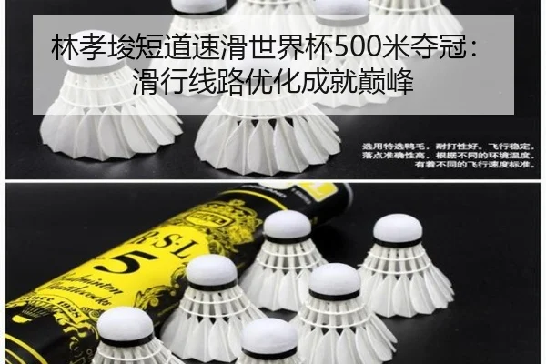 lin-xiao-jun-duan-dao-su-hua-shi-jie-bei-mi-duo-guan-hua-xing-xian-lu-you-hua-cheng-jiu-dian-feng-2-491.jpg